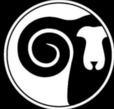 Circle Image