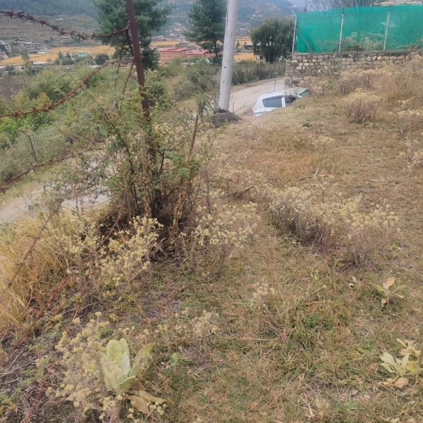 Land for sale in Paro